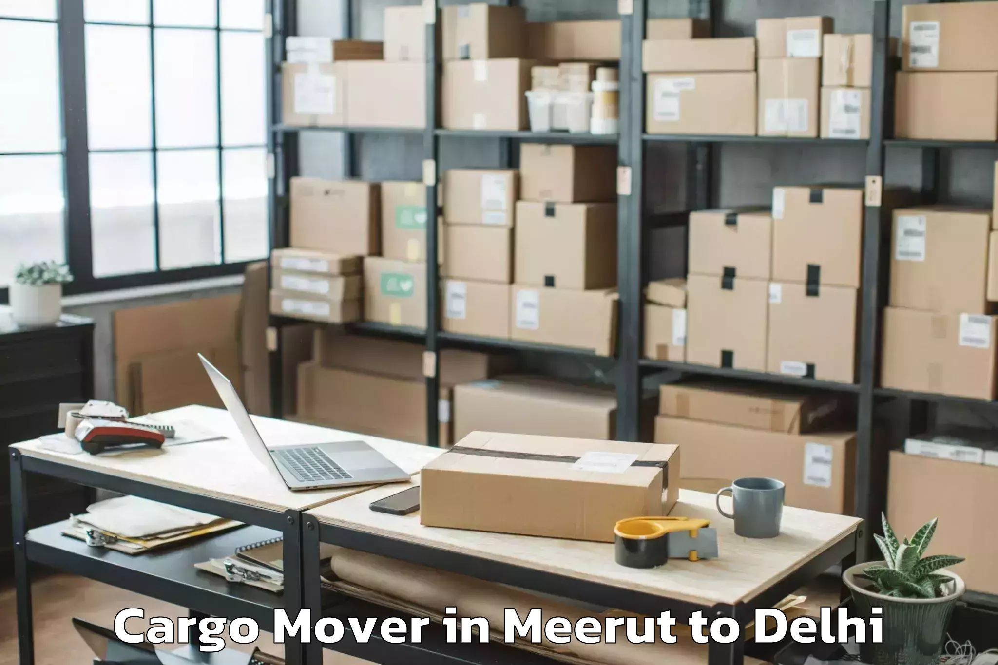 Top Meerut to Unity One Janakpuri Mall Cargo Mover Available